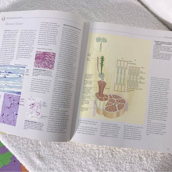 Vintage Atlas of Anatomy Hard Cover Book - Picture 8 of 14